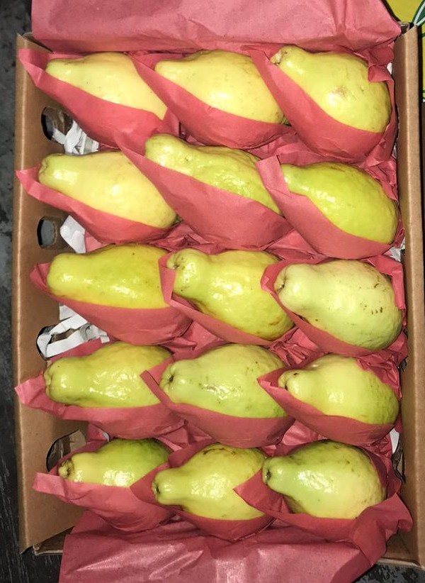 11dfee73 8d22 4516 8071 f7519b29733c