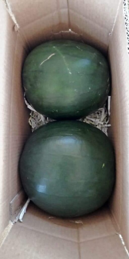 355eece5 ec18 4c24 9f09 c2509b857f35