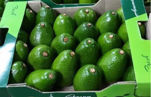 56ec1832 39d3 4efb afbb aed18ce2d629