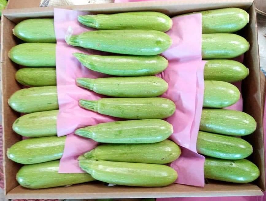 911d8824 f4af 4e21 b189 9b9cb021b3bb