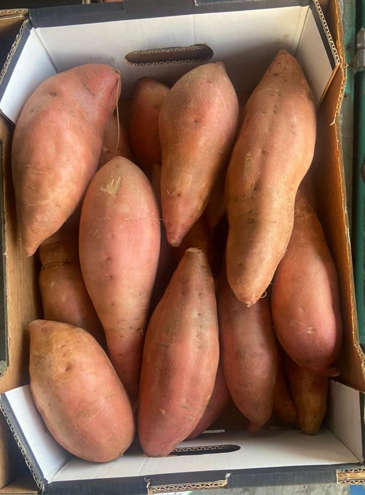 whatsapp image 2026 01 06 at 11.10.20 pm