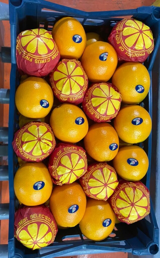 Al Rehab Egyptian Agricultural Export Company