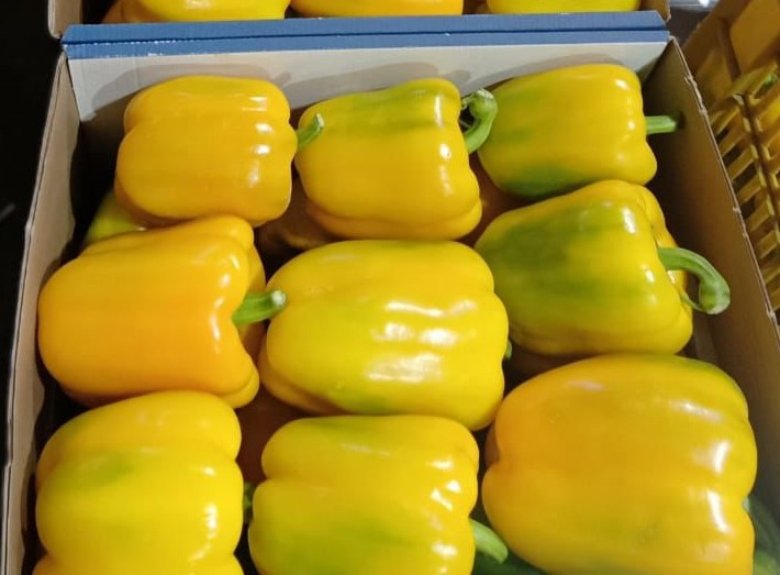 whatsapp image 2026 01 07 at 12.42.40 am (1)