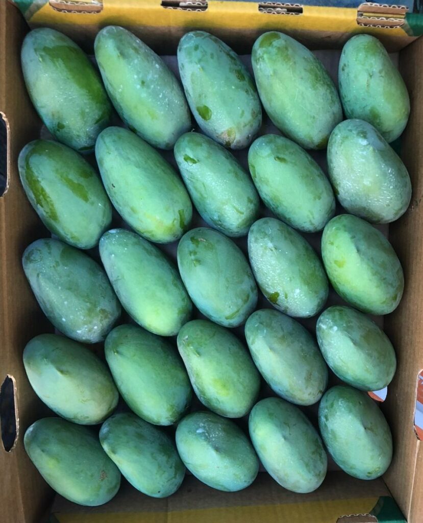 whatsapp image 2026 01 07 at 12.42.41 am