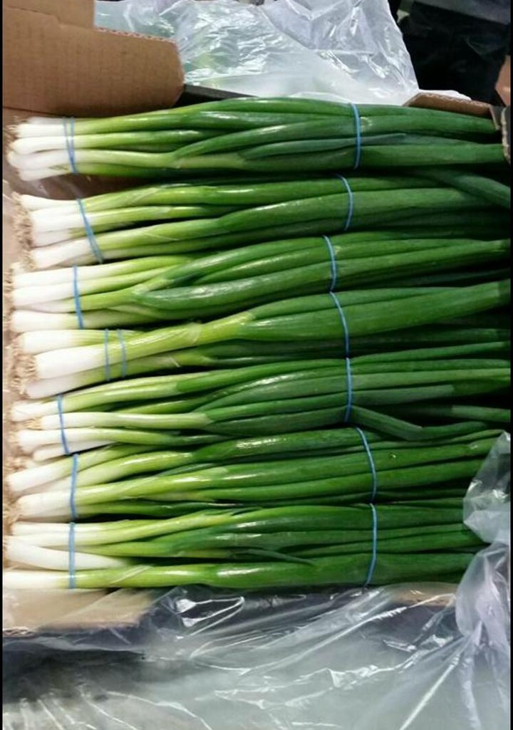 whatsapp image 2026 01 07 at 12.42.55 am (1)