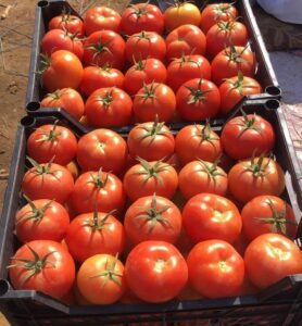 cf37a631 d748 4773 9ae1 10024a49f48c