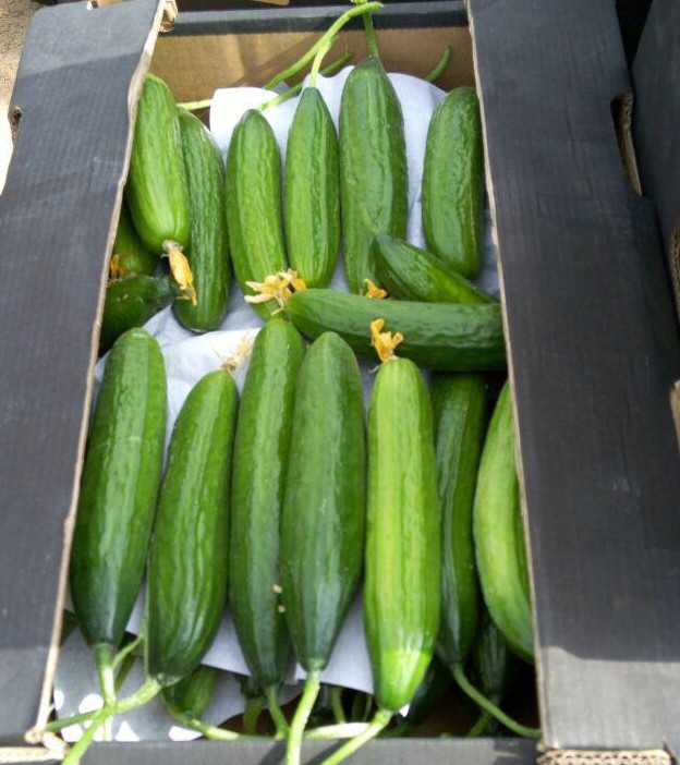 e3f7af68 efb6 401d b5ec 89bacc376b71