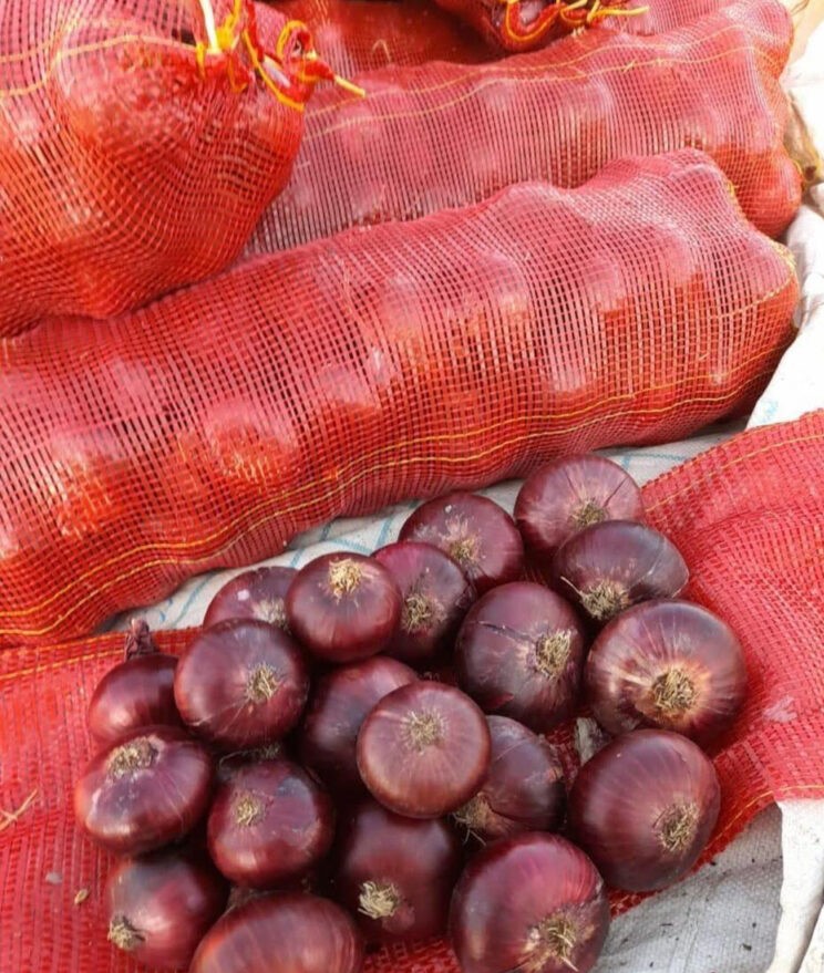 egyptian red onion exporting 774x1024