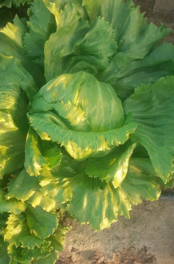 f47d45dc 916d 4270 b918 3f890aa2d5f5